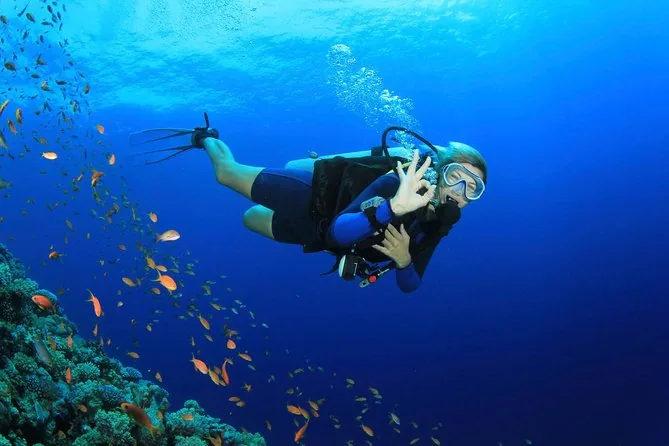 PADI Advanced Open Water Diver course at The Wave Diving Center — photo 4