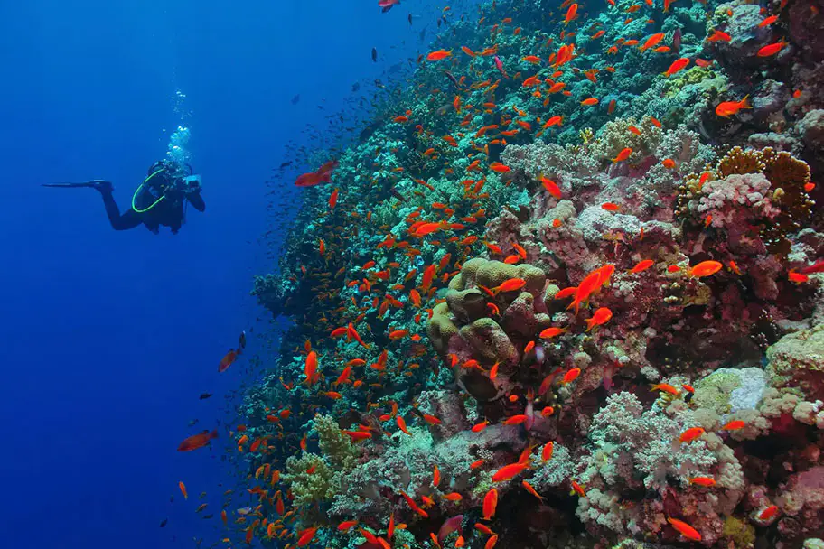 PADI Advanced Open Water Diver course at The Wave Diving Center — photo 7