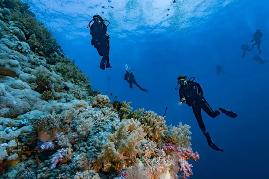 Boat Diver course at The Wave Diving Center — photo 5