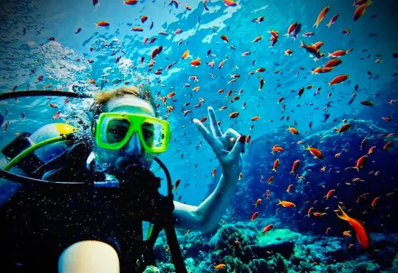 Boat Diver course at The Wave Diving Center — photo 6