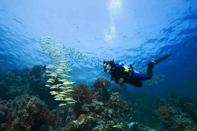 Dahab Blue Hole & Canyon diving trip — photo 3