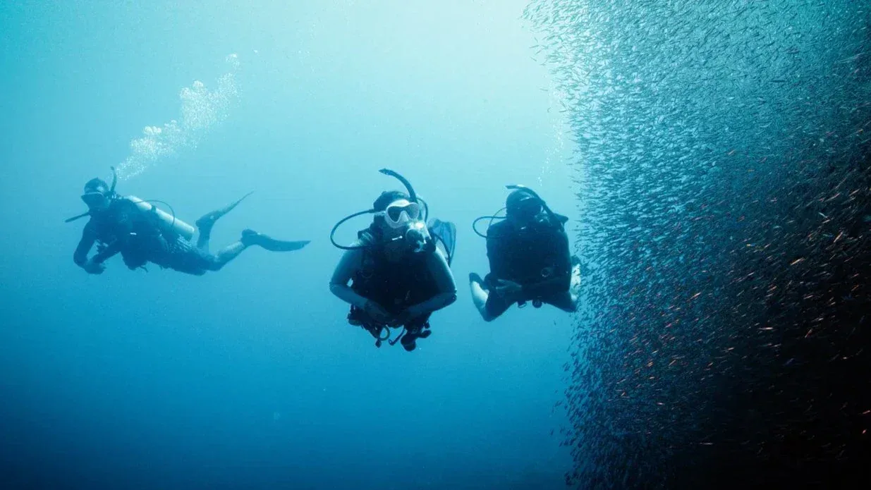 Deep Diver course at The Wave Diving Center — photo 11