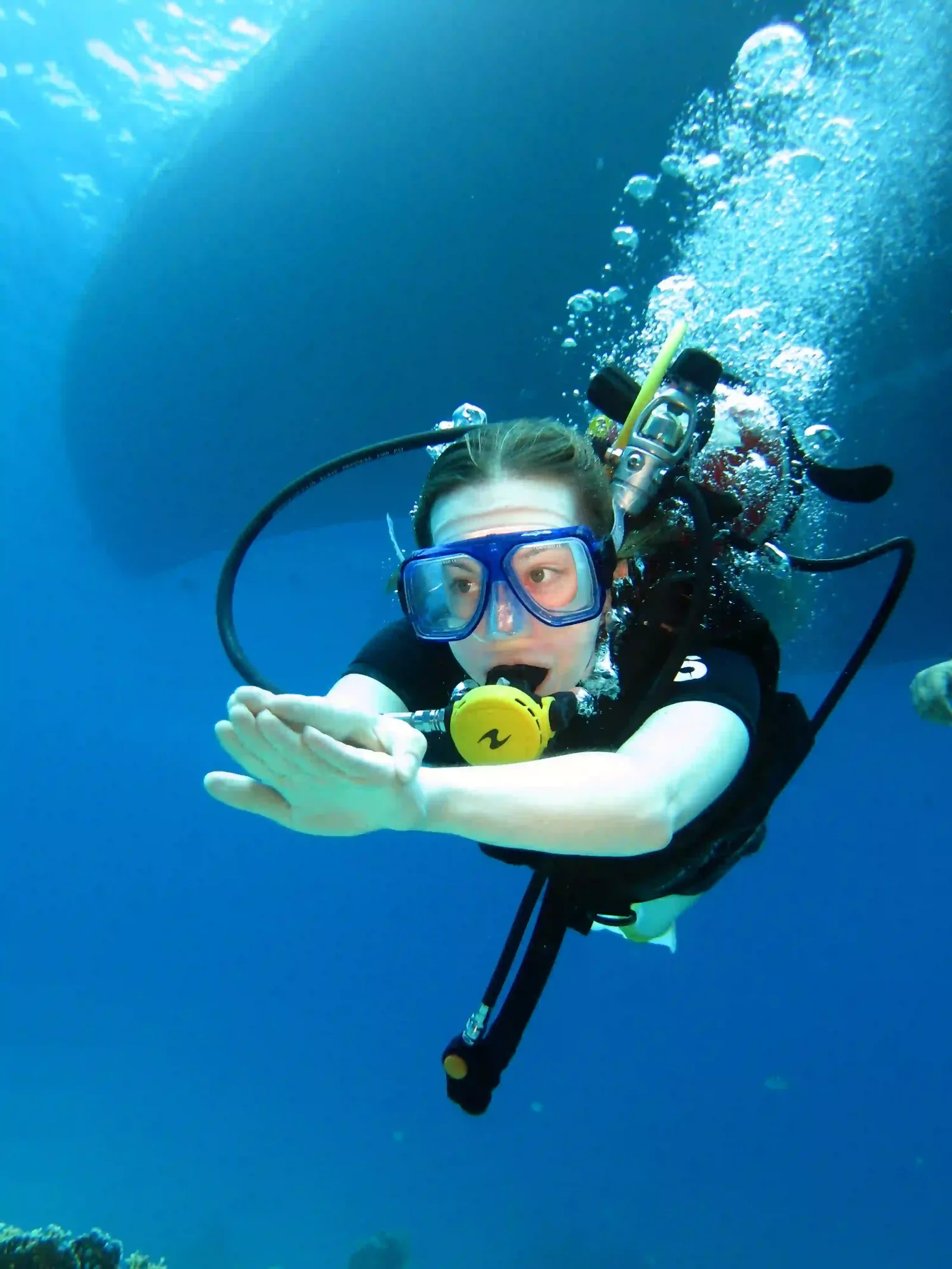 Ras Mohammed diving by land — photo 15