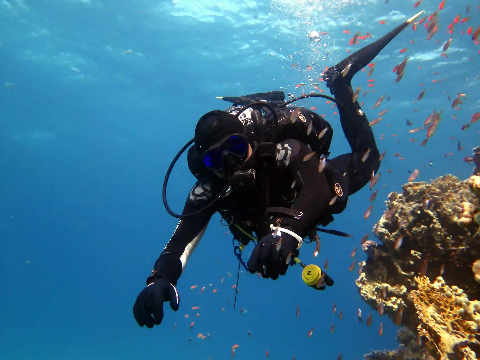 Ras Mohammed diving by land — photo 21