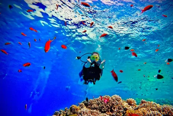 Discover Scuba Diving course at The Wave Diving Center — photo 6
