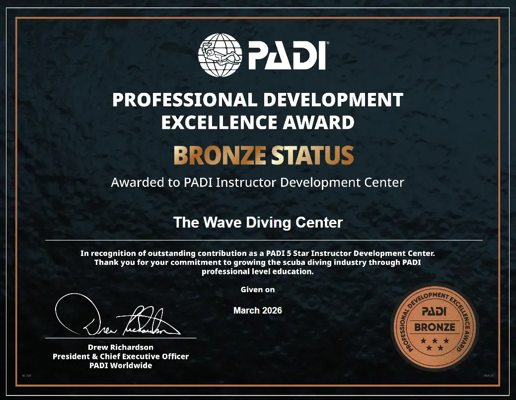 PADI EMEA Professional Development Excellence Bronze Award 2026