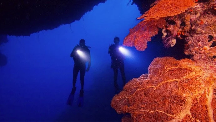 Night Diver course at The Wave Diving Center — photo 8