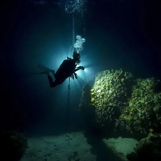 Night dive in Sharm El Sheikh — photo 6