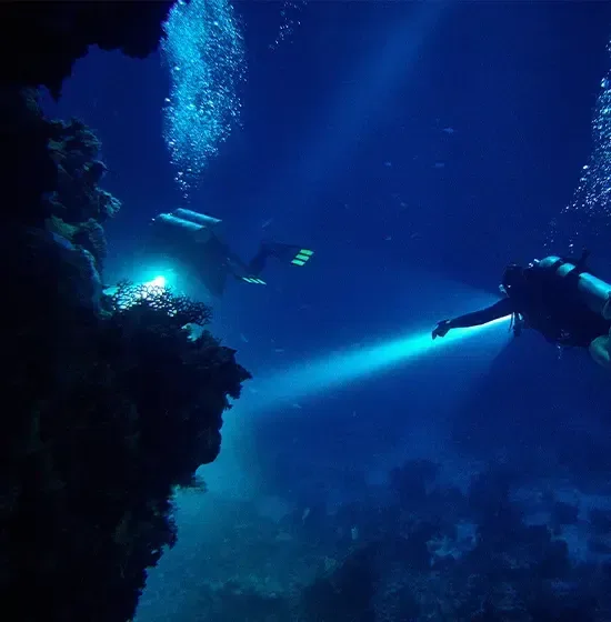 Night dive in Sharm El Sheikh — photo 11