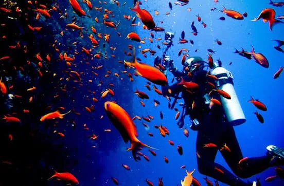 PADI Enriched Air Nitrox course at The Wave Diving Center — photo 6