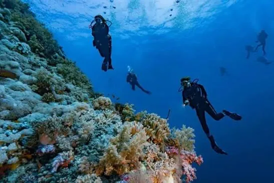 PADI Open Water Diver course at The Wave Diving Center — photo 3