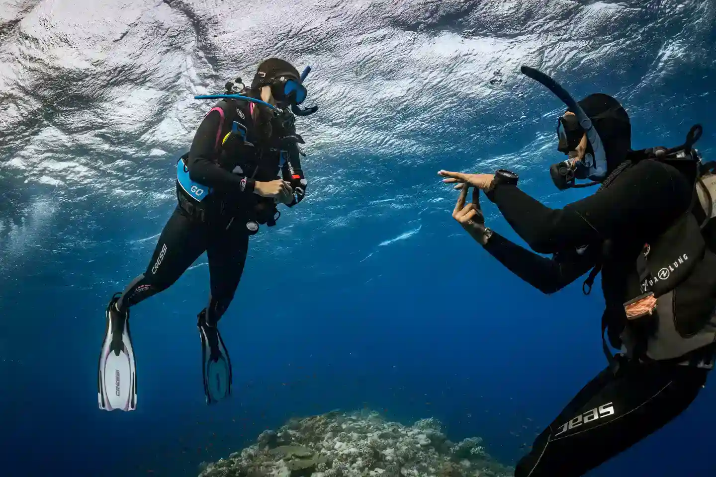 PADI Open Water Diver course at The Wave Diving Center — photo 8