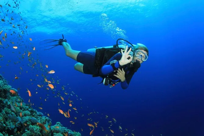 Peak Performance Buoyancy course at The Wave Diving Center — photo 2