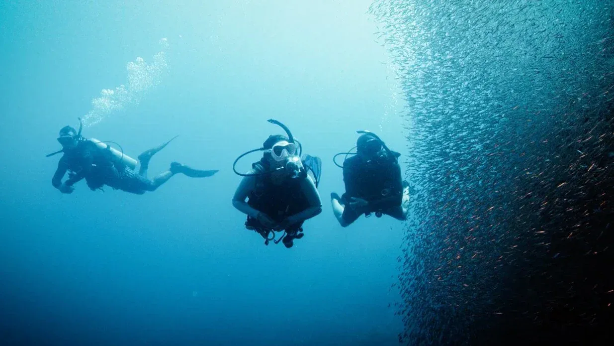 Peak Performance Buoyancy course at The Wave Diving Center — photo 6