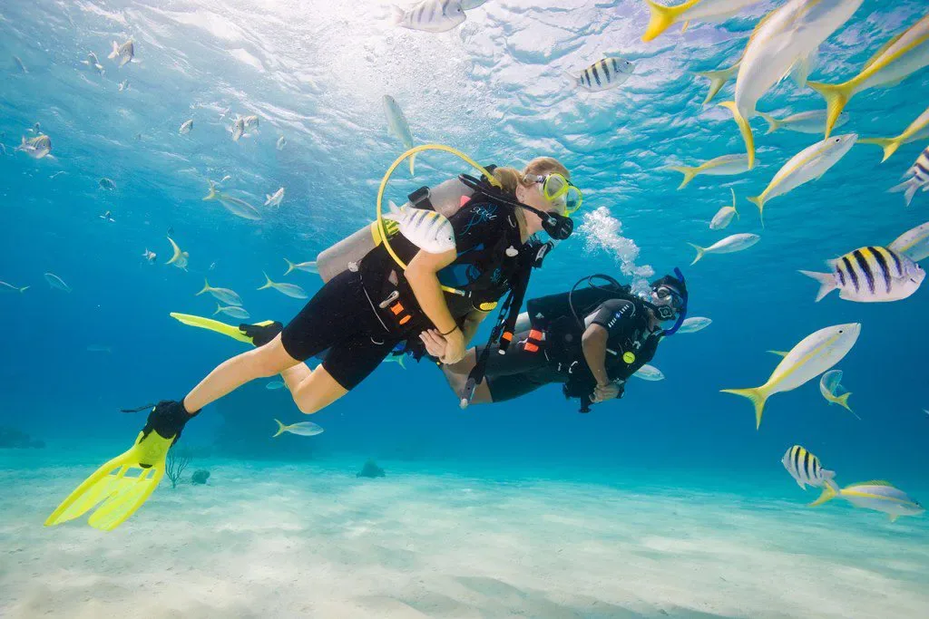 Scuba Refresher course at The Wave Diving Center — photo 6