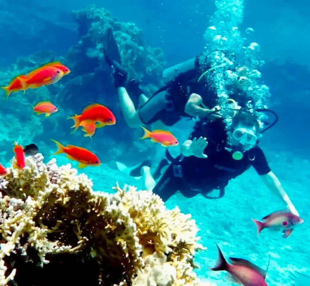 PADI Scuba Diver course at The Wave Diving Center — photo 4