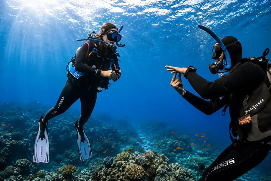 PADI Diving Courses