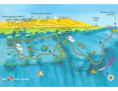 Local Garden dive map