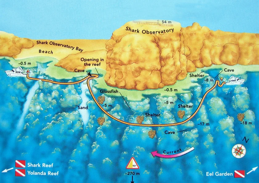 Shark Observatory dive map